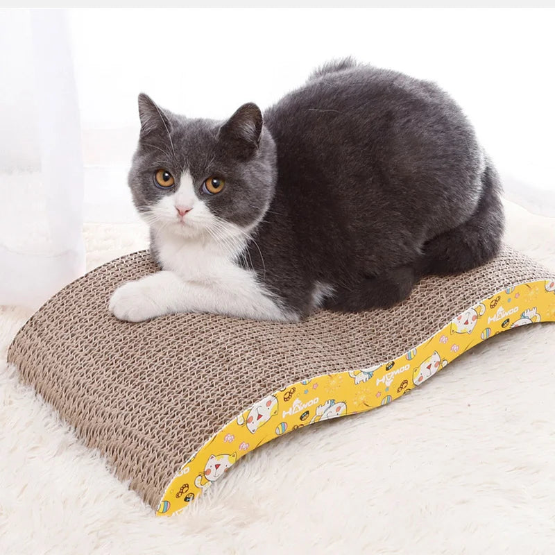 The Cat Cardboard  Scratch